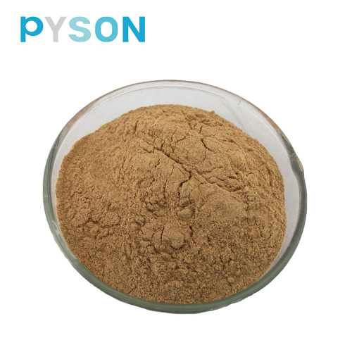 Natural Soybean extract Powder