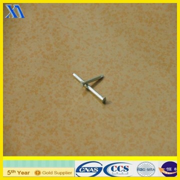 collated nails/concrete nails/plastic sheet collated nails