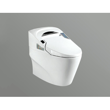 Smart Washdown Toilet JA0212