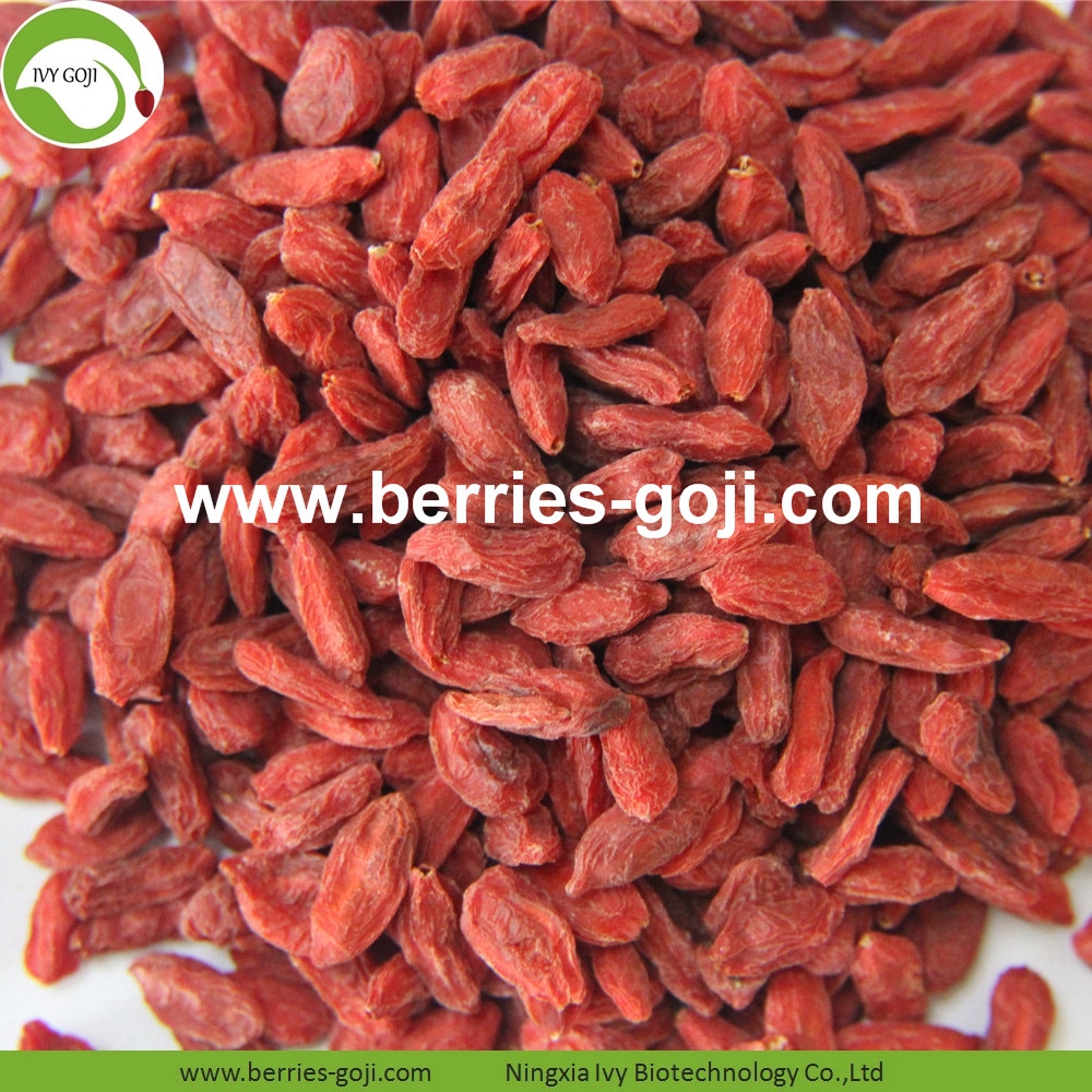 Goji-Beeren goji berry