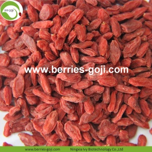 Borong Pemakanan Bijih Organik Goji Berry Kering