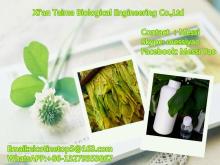 Xian Taima professionally supply Fruit Flavor