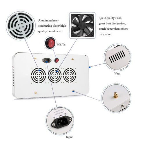 Đèn LED trồng cây để chiếu sáng vườn rau