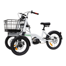 Custom OEM/ODM Adult Three Wheel Tricycles & Trikes
