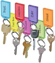 Wholesale Colorful Plastic Key Tags with Custom Labels and Ring Split Ring Key Chains