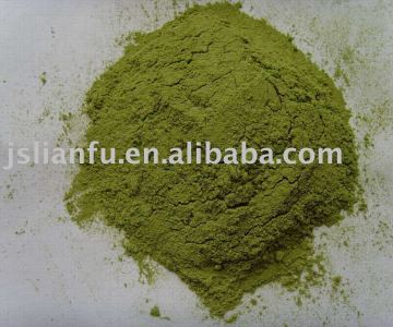 Spinach powder dehydrated spinach powder