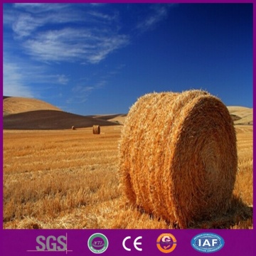 Hay bale net wrap/bale wrap net/white grass net