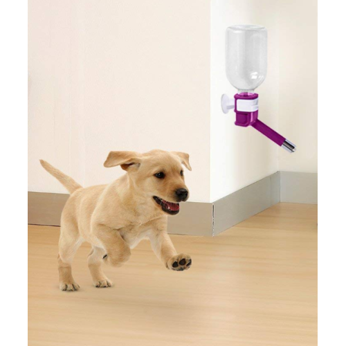 No Drip Pet Dispenser Bottle