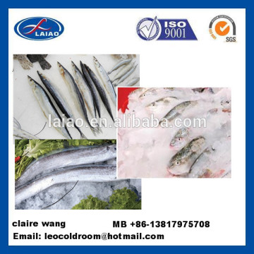 seafood refrigerated chambers