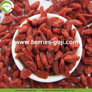 Nhà máy Bán buôn Thực phẩm dinh dưỡng Super Ningxia Goji Berry