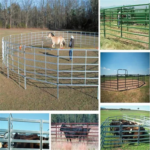 Panneau de clôture de bétail galvanisé de ferme de clôture en acier