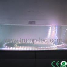 12v smd led ribbon strips