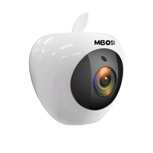 Mini Fisheye HD Wireless CCTV Camera with Monitor