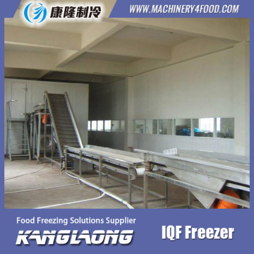 Good Capacity IQF Pepper Instant Freezer