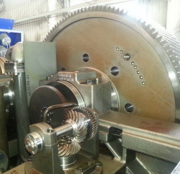 Standard And Special Size Gear