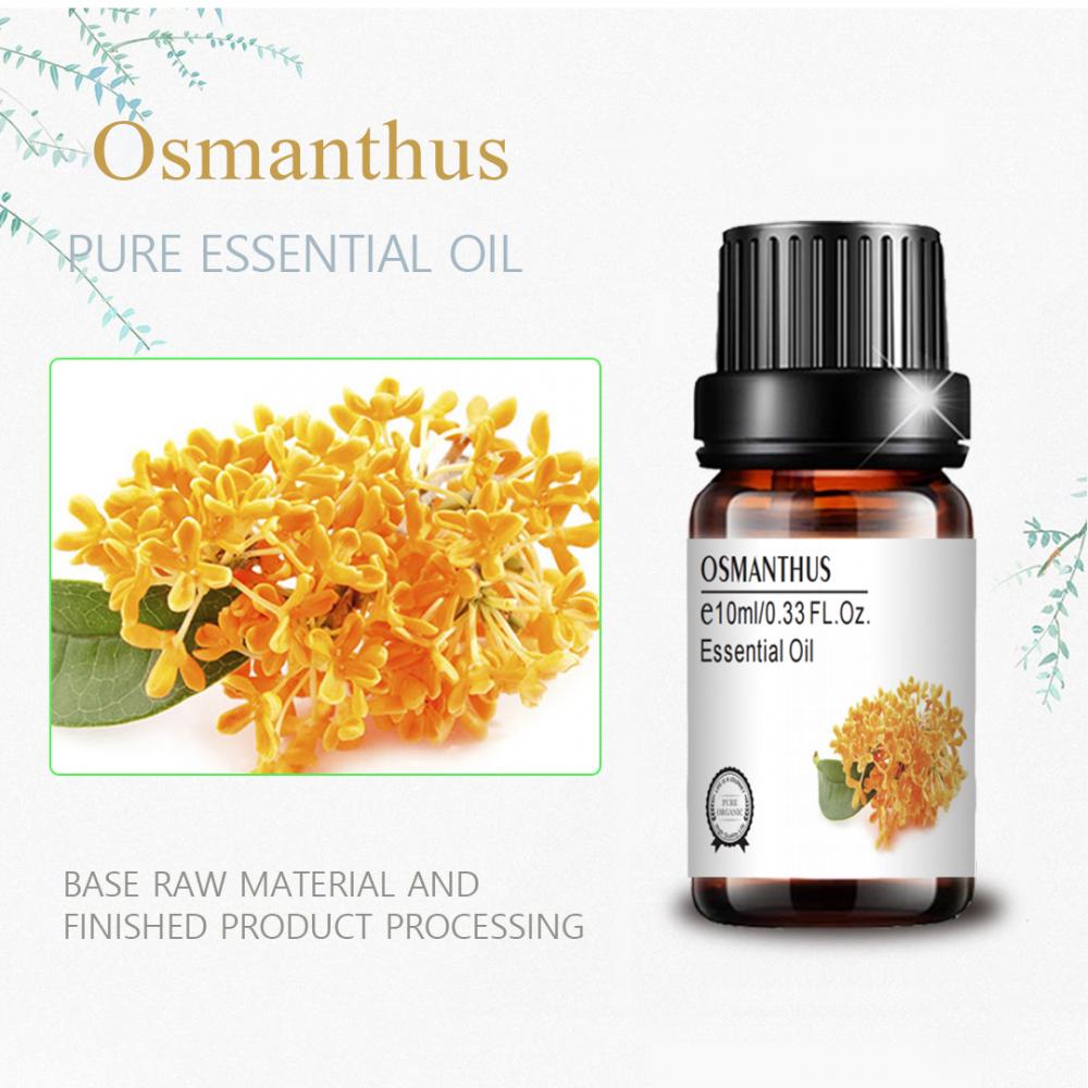 마사지 용 맞춤형 개인 라벨 향수 Osmanthus 오일