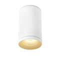 Ceiling Light Fixture with GU10 bulb