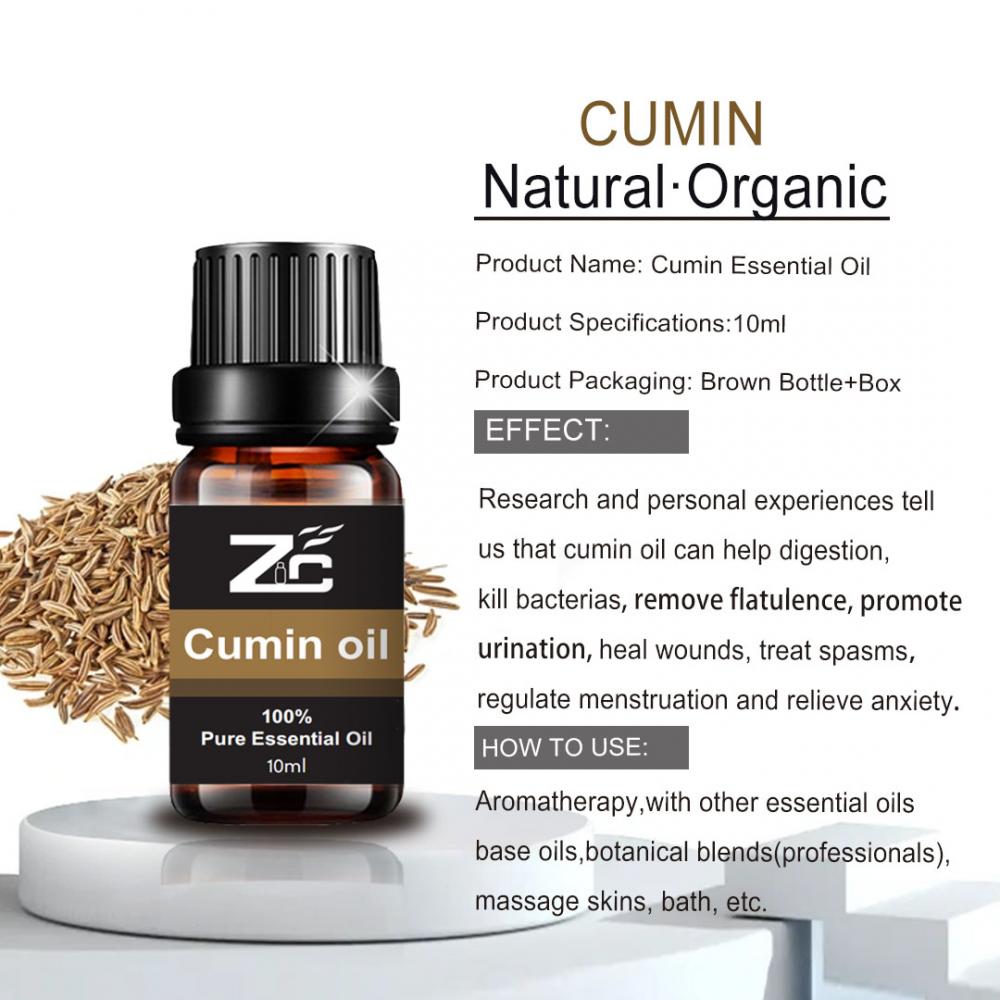 Cumin de haute qualité bon prix cumin huile boost immunité