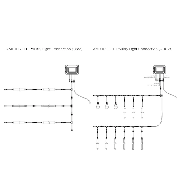 Szamb 2000W 4000W Intelligent Dimmer Light System with CE, RoHS, ETL