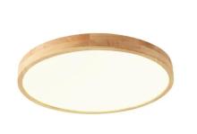 Acrylic LED Ceiling Light