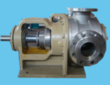 Nyp30 Stainless Steel Rotor Pump