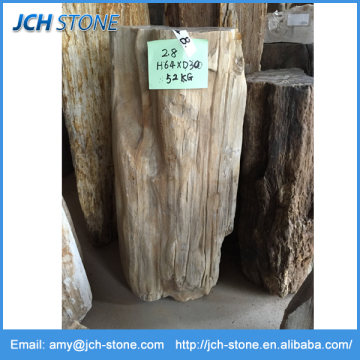 Natural landscaping stone wooden fossil