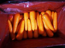 HIGH QUALITY WATER WASHED FRESH CARROT