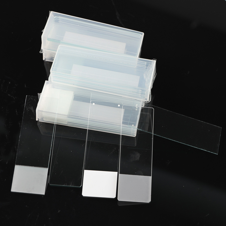 Common Microscope Slides