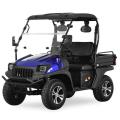 Jeep 5kw UTV eléctrico con azul EEC