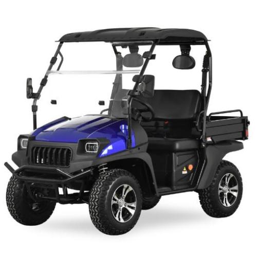 Jeep 5kw UTV eléctrico con azul EEC