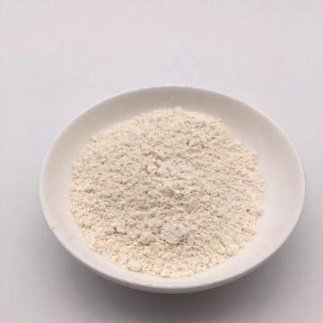 Factory Supply Garlic powder white