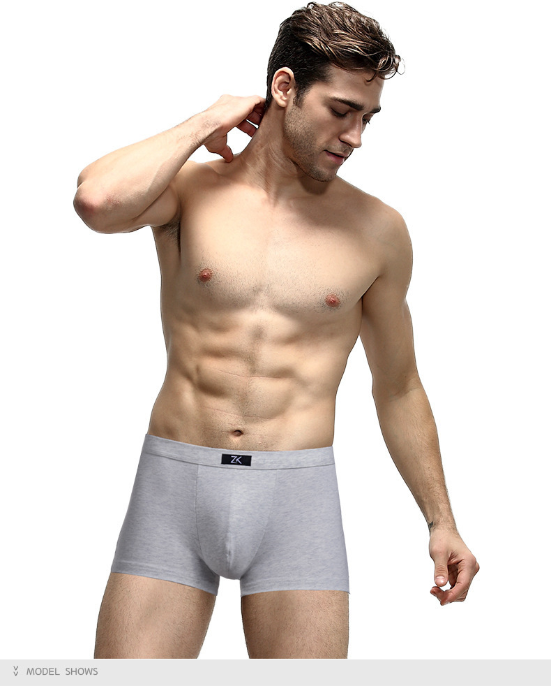 Boxers of men's cotton panties (5)