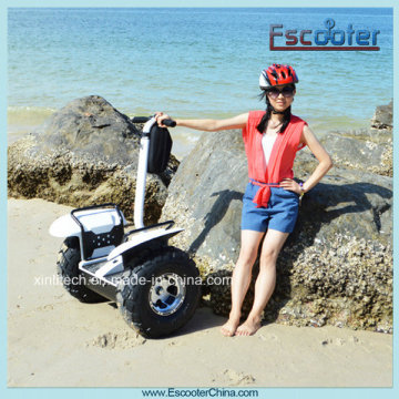 Electric Stand up Scooter, Electric Chariot Balance Scooter