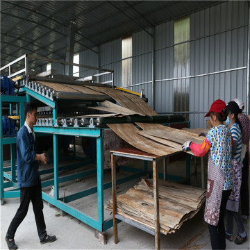 Shine Veneer Dryer Running on Biomass Burner