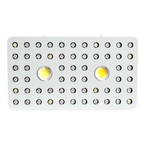 Phlizon 1000W COB LED rośnie światło