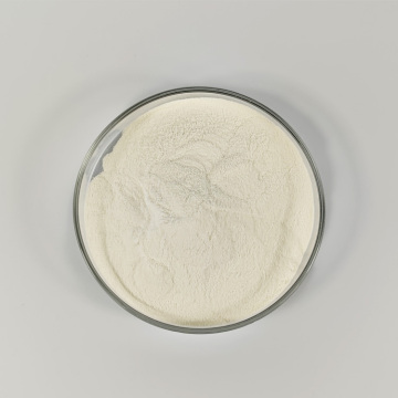 Antibiotic medicin Tilmicosin Premix 20% for pig