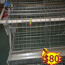 Design layer chicken cages for sale