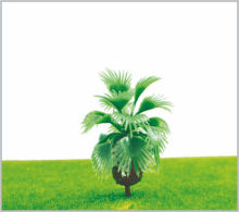 M015 Miniature Scale Model Trees Green Avenue Planting Palms Tree 5.5cm