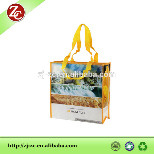 non woven cooler bag /cheap non woven bags /non woven pp bag