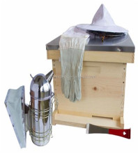 10 frame Beginner Bee Hive Kit