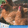 Zeshoekige gaas / kippen pluimveebedrijven hek