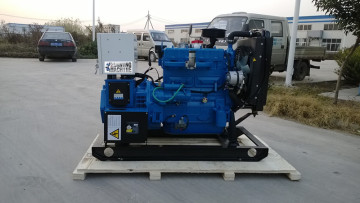 Natural gas generator and biogas generators