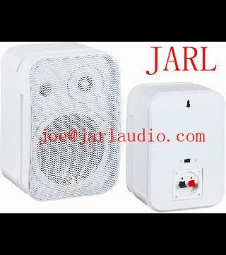 Wall Mounting Speaker / Ceiling Speaker/ Hanging Speaker