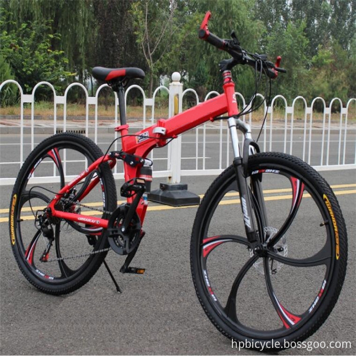 Cheap Folding Mountain Bicycle