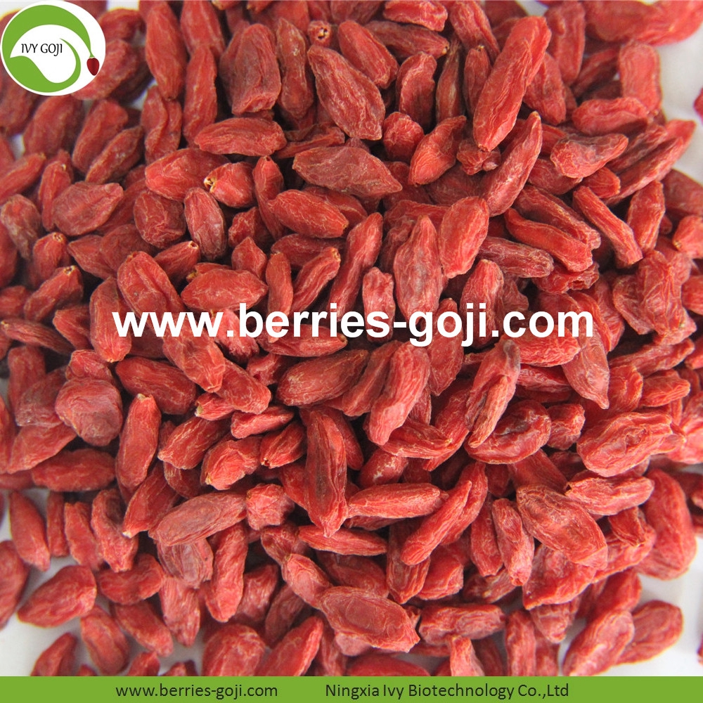 goji berry