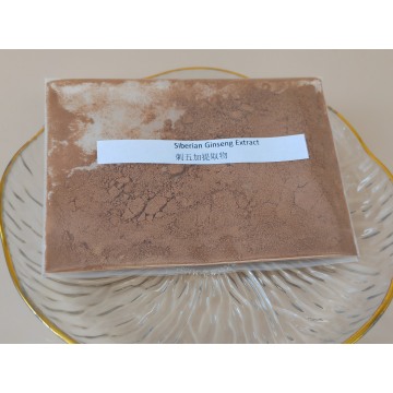 Ekstrak ginseng Siberia