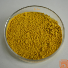 Sophora Japonica Extract Dihydrate Quercetin 95%