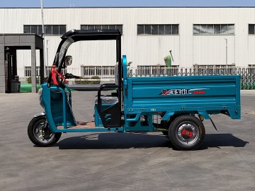 Luxury simple shed electric vehicle