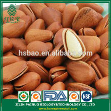 China Supplier of New Crop Siberian Open Pine Nuts in Shell