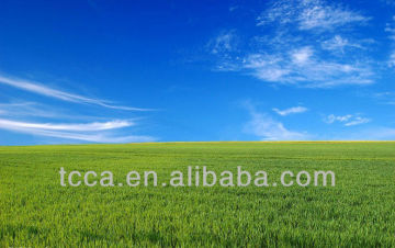 Nitrogen fertilizer Ammonium Sulfate